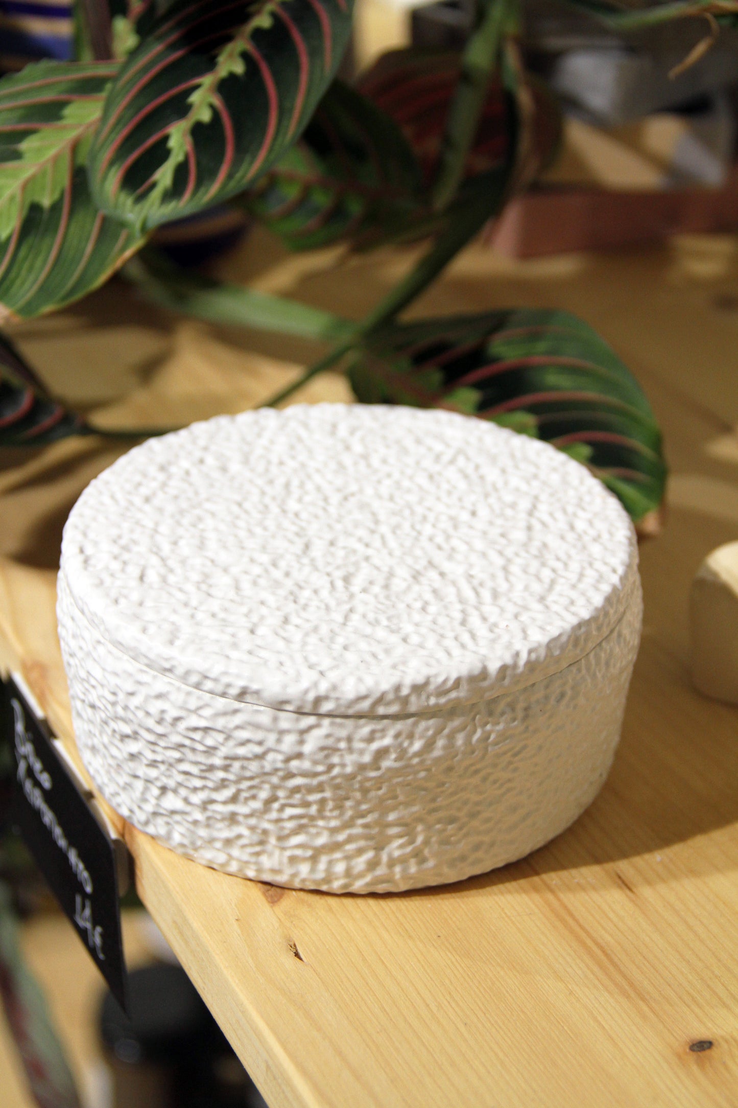 Χειροποίητο Πορσελάνινο Κερί Σόγιας Amber New - Ethyrhome | Handmade Porcelain Soy Candle