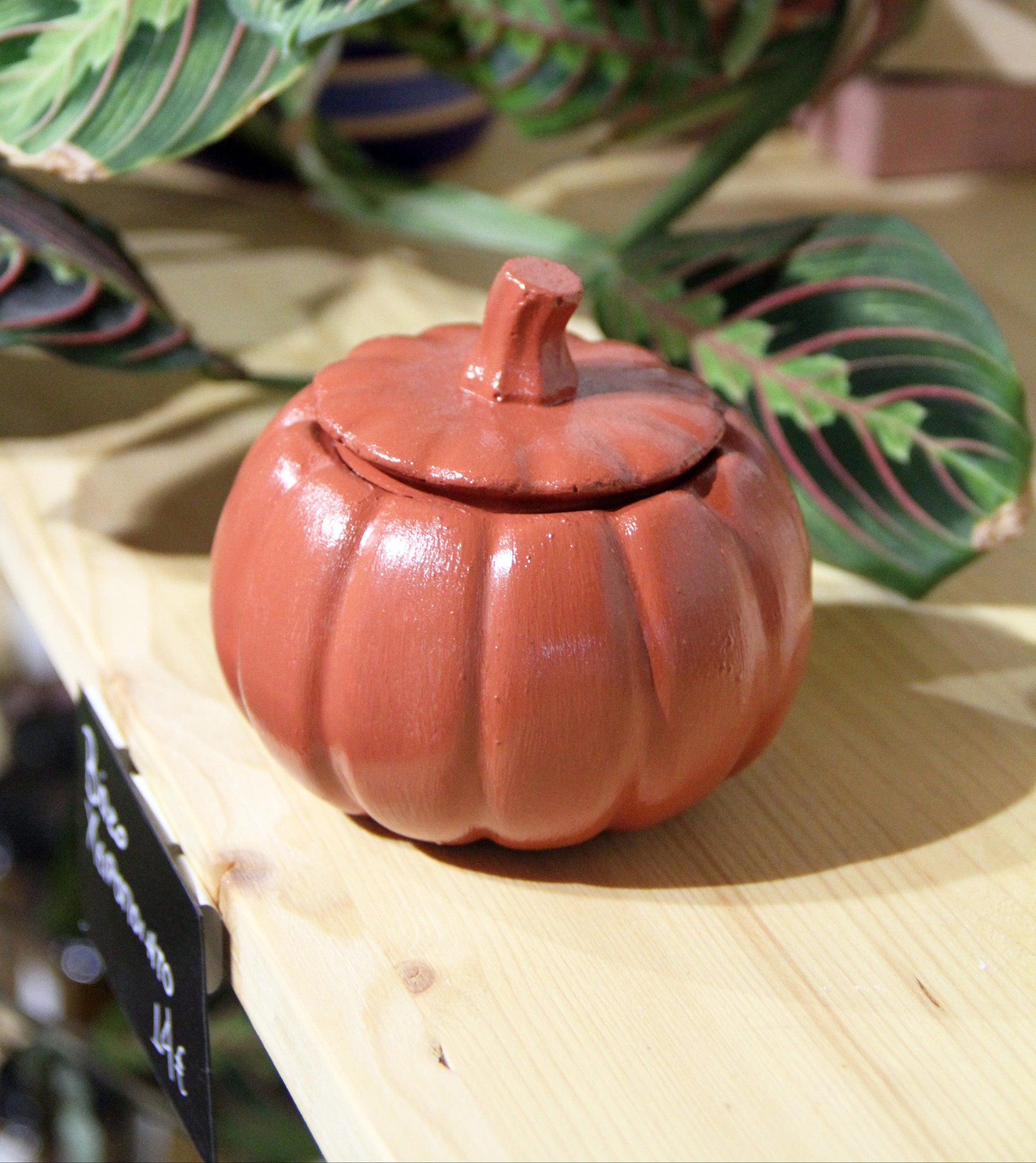 Small terracotta pot with lid on a wooden surface with green leaves in the background